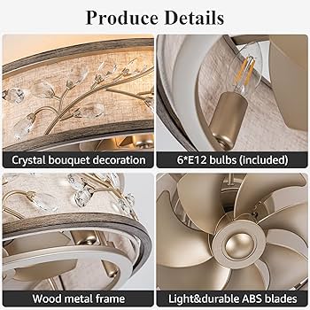 ❤︎？❤︎ WWM 20 Inch Low Profile Caged Fandelier Ceiling Fan with